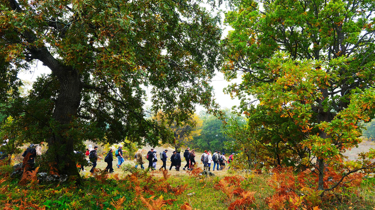Sakarya'da doğa yürüyüşleri tamamlandı