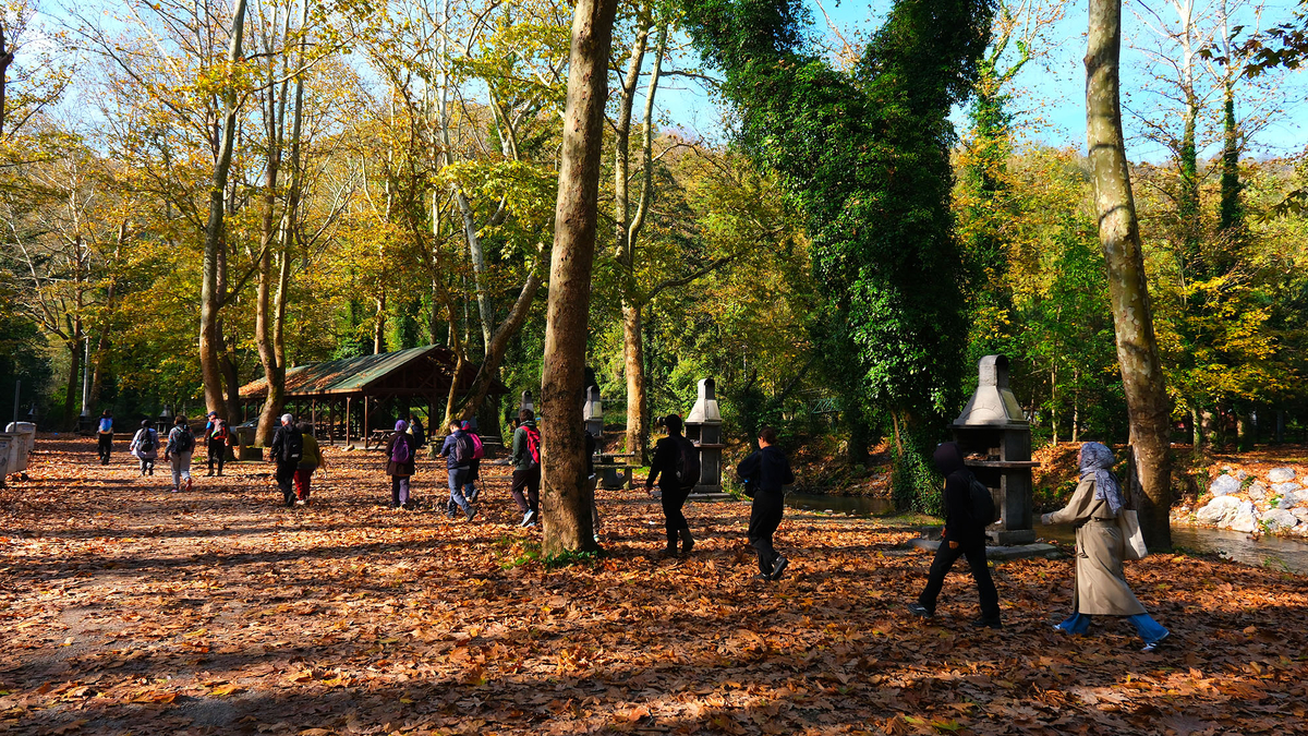 Sakarya'da doğa yürüyüşleri tamamlandı