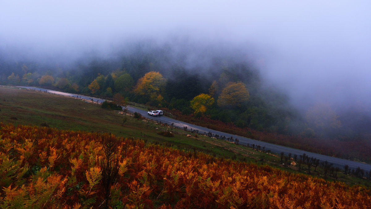 Sakarya'da doğa yürüyüşleri tamamlandı