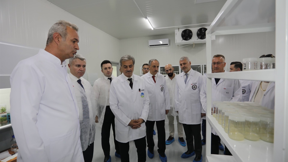 Sakarya'da Doku Kültürü Laboratuvarı üretime başladı
