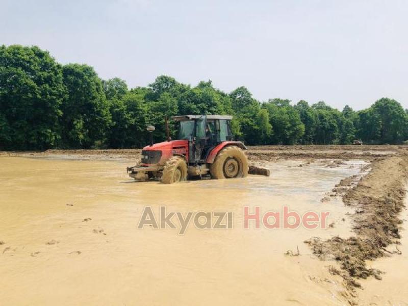 Sakarya da ilk kez pirinç ekildi