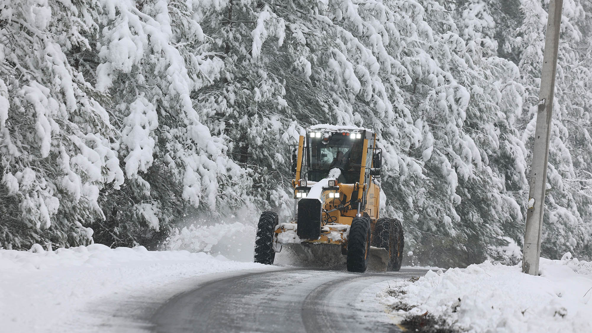 Sakarya'da kar alarmı