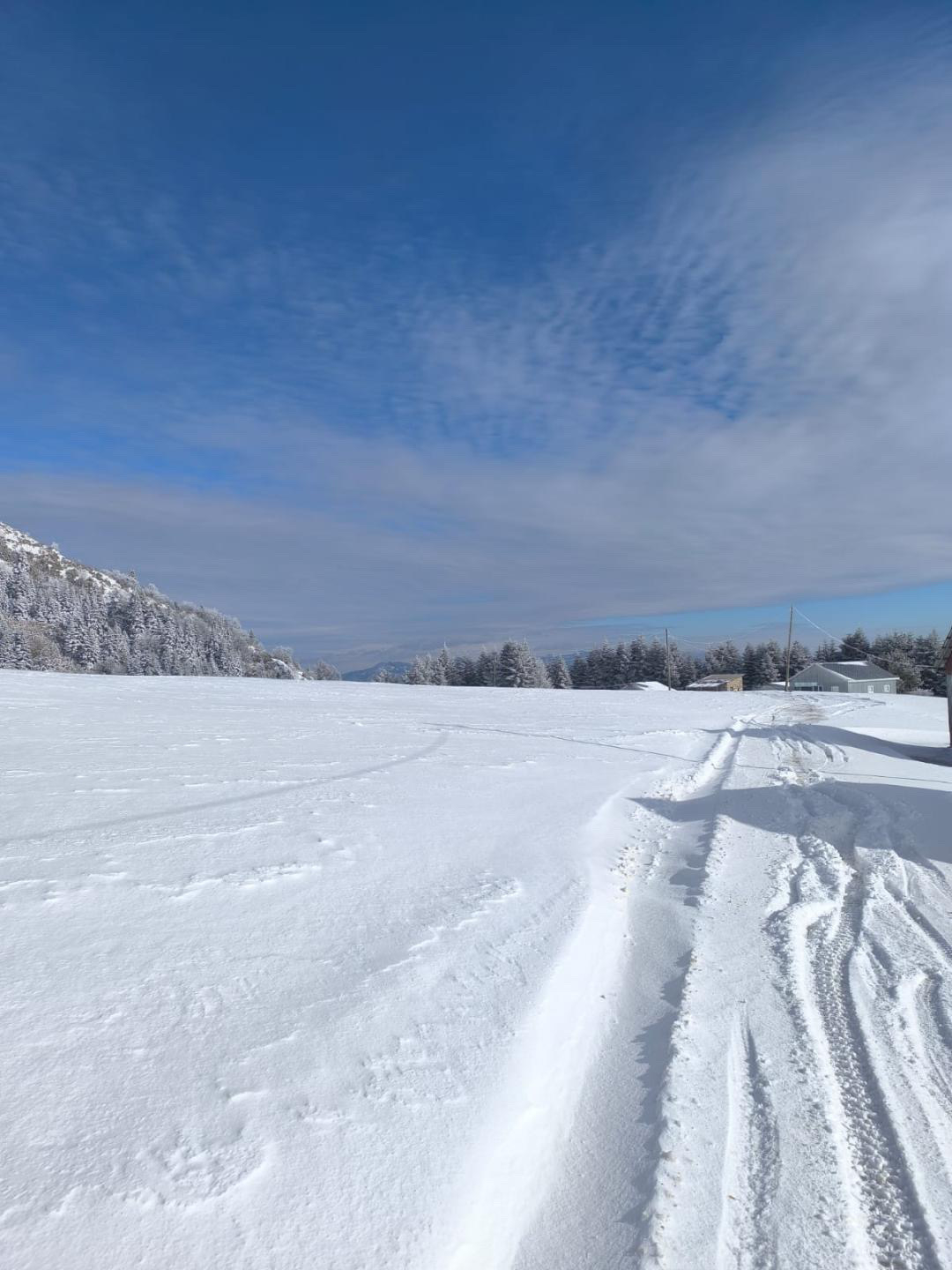 Sakarya'da kar nedeniyle yaylalara girişlere yasak