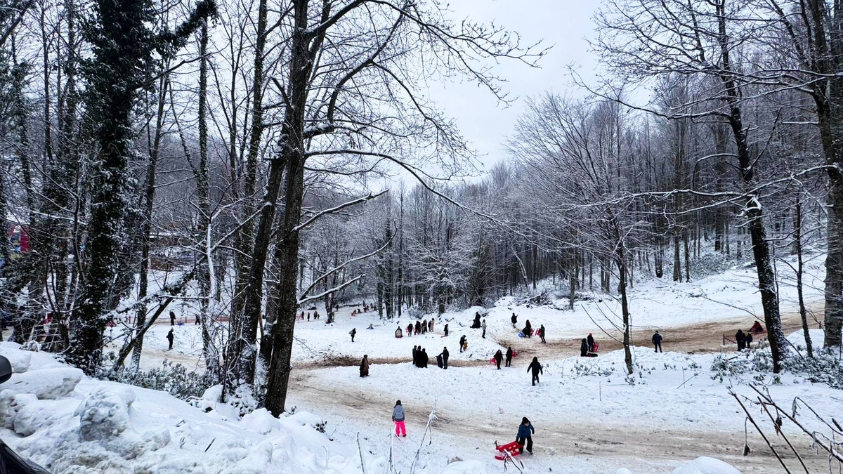 Sakarya'da kar yağışı
