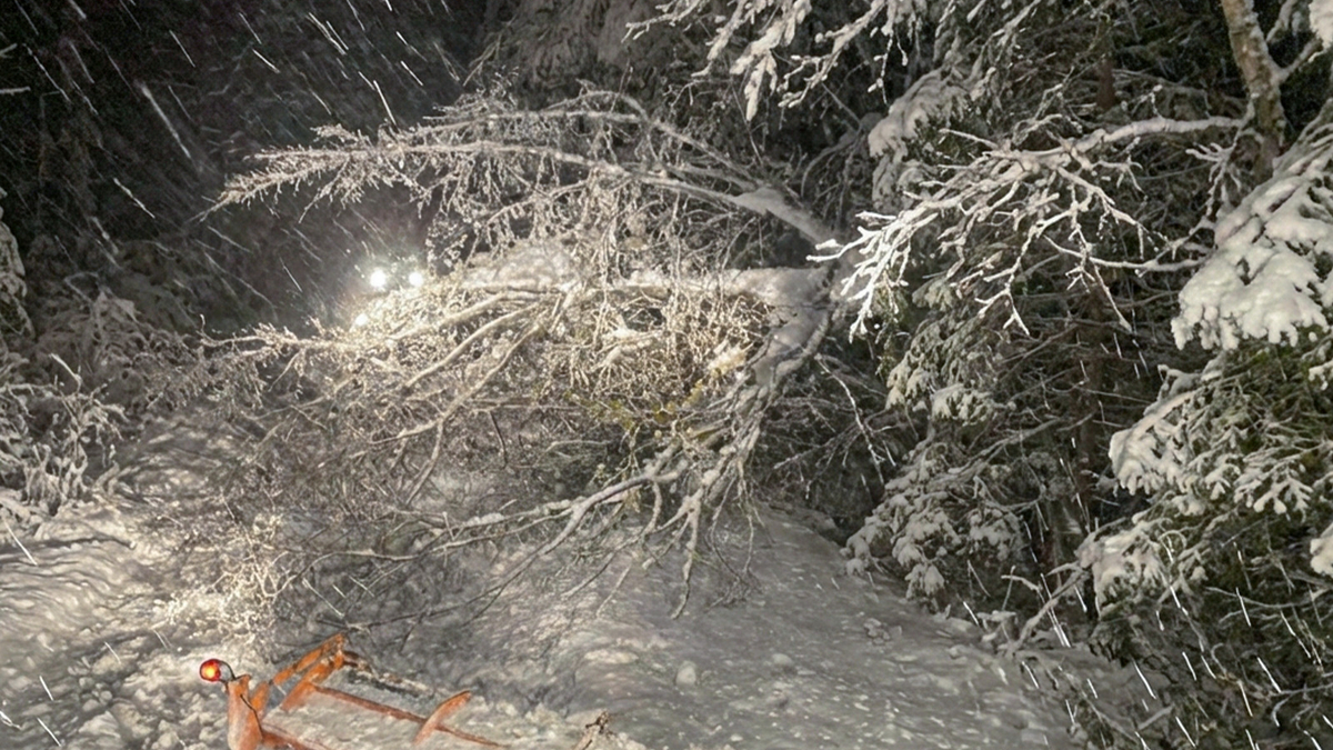 Sakarya'da kardan kapanan 31 yol açıldı