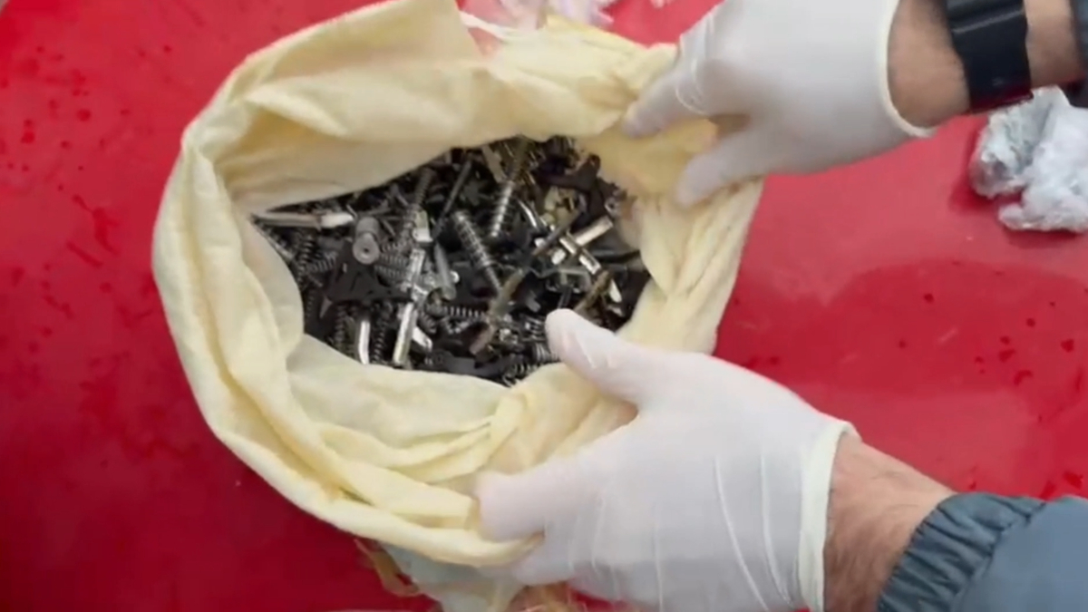 Sakarya'da silah kaçakçılığı operasyonu