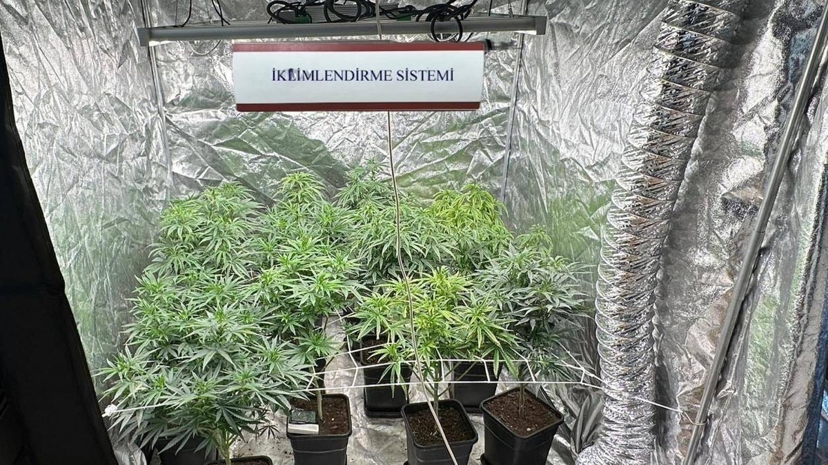 Sakarya'da uyuşturucu operasyonları