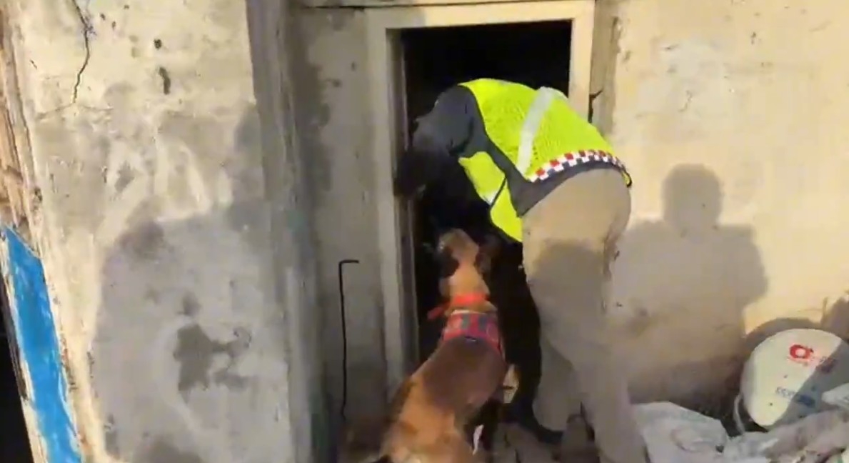 Sakarya dahil 25 ilde operasyon