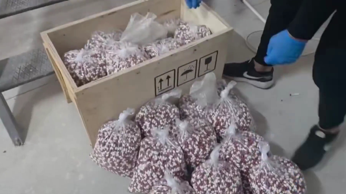 Sakarya dahil 72 ilde operasyon