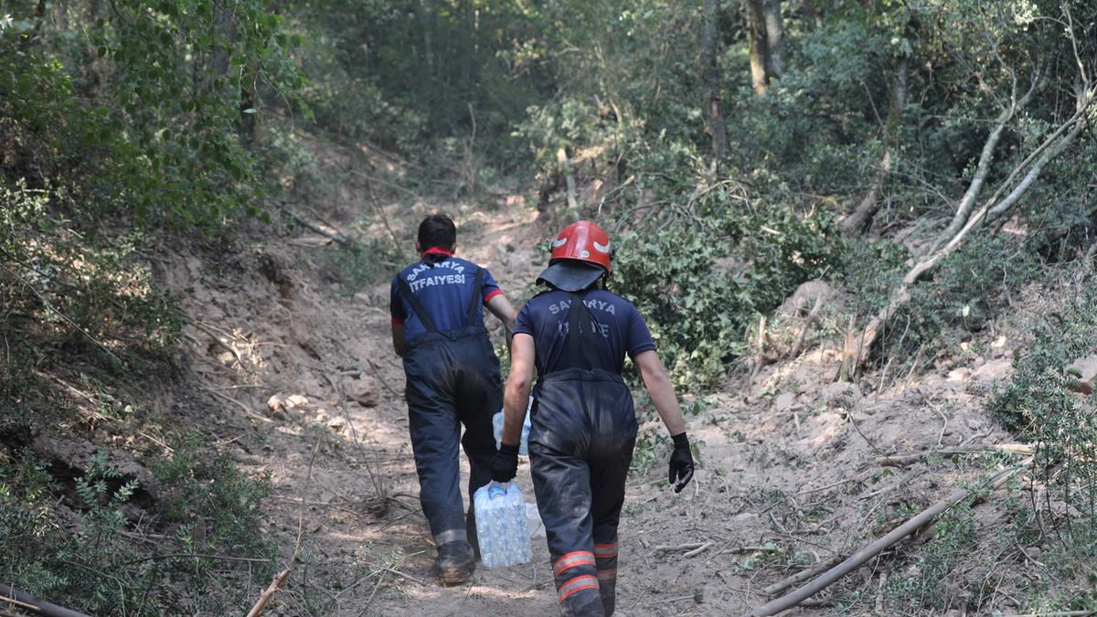 Sakarya'daki 3 yangından ikisi kontrol altında