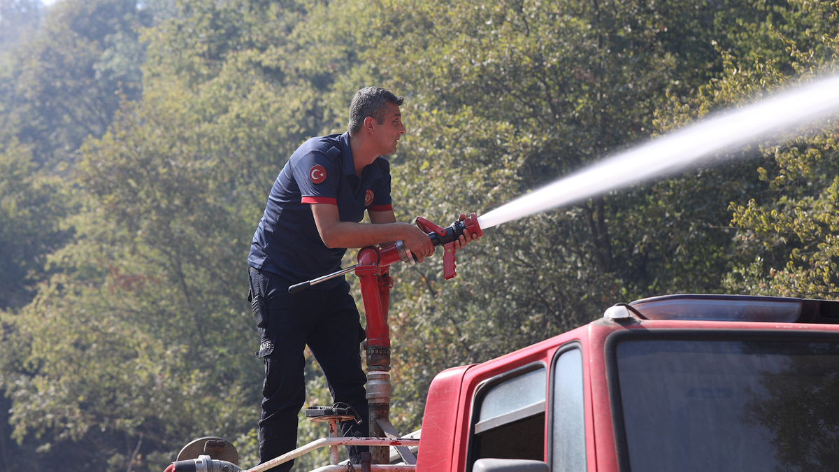Sakarya'daki 3 yangından ikisi kontrol altında
