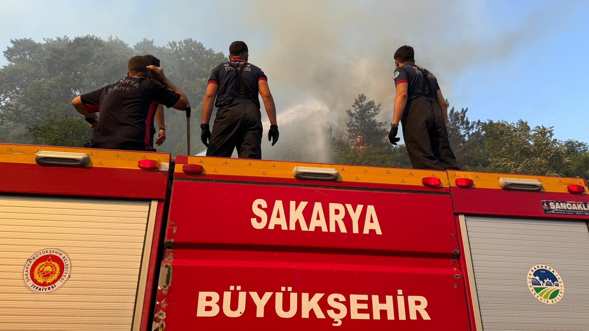 Sakarya'daki 3 yangından ikisi kontrol altında