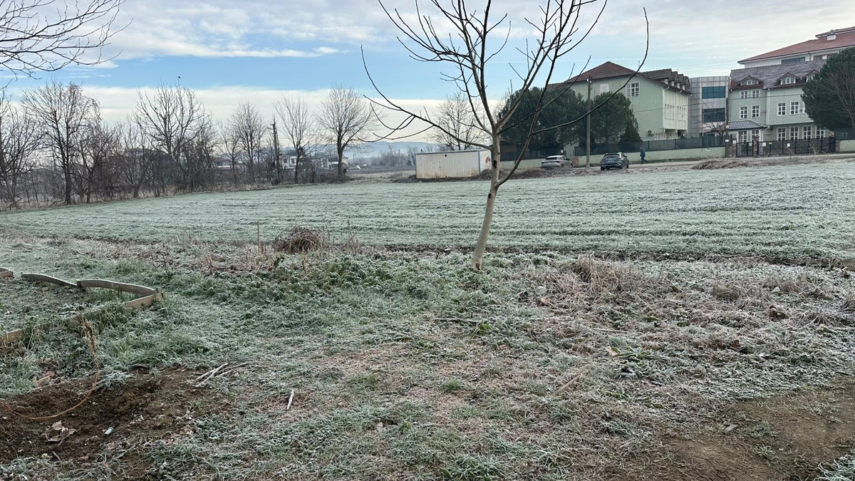 Sakarya güne böyle uyandı; Buz kesti