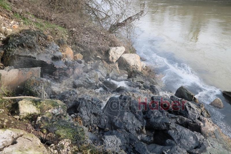 Sakarya Nehri kimyasal atıklarla kirletilmeye devam ediyor