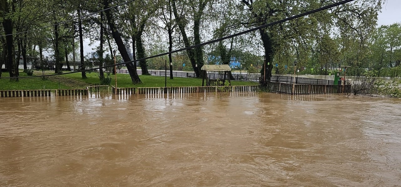 Sakarya Nehri taşma noktasına geldi; Alarm verildi
