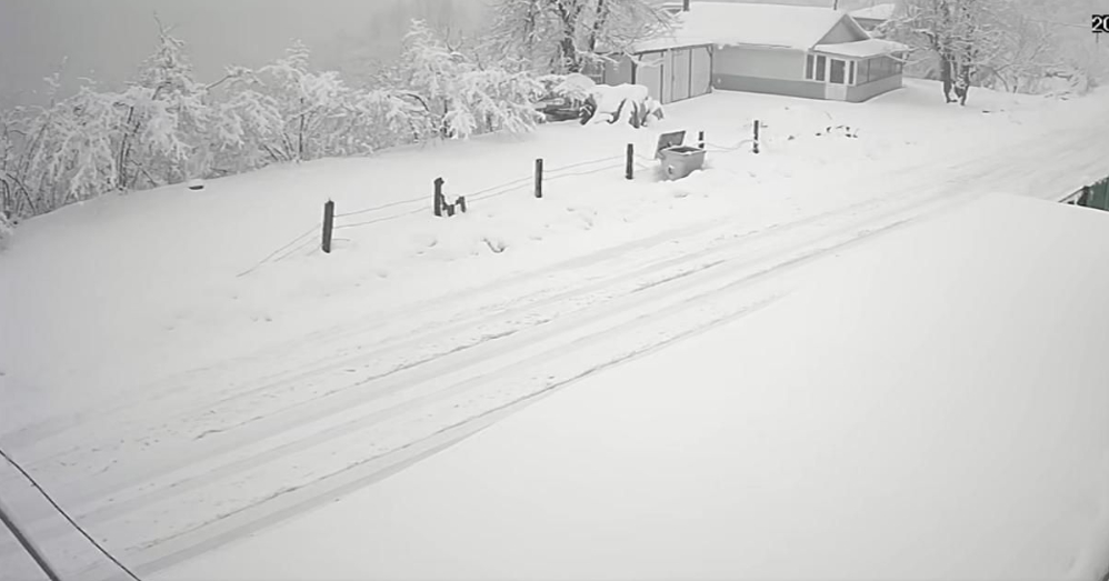 Sakarya'nın yüksek kesimlerinden kar fotoğrafları