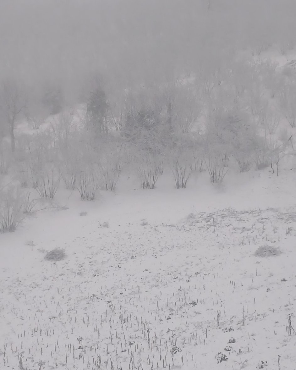 Sakarya'nın yüksek kesimlerinden kar fotoğrafları