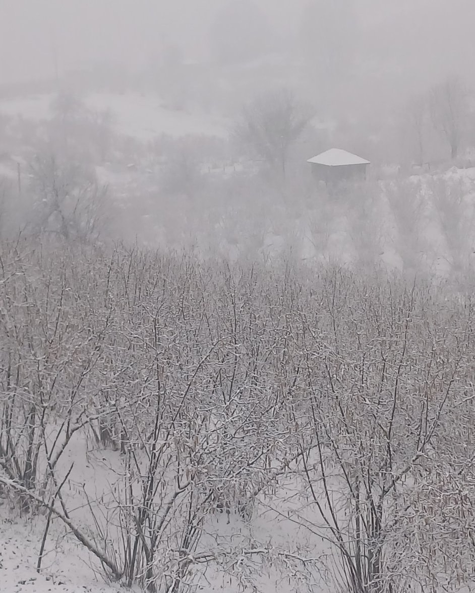 Sakarya'nın yüksek kesimlerinden kar fotoğrafları