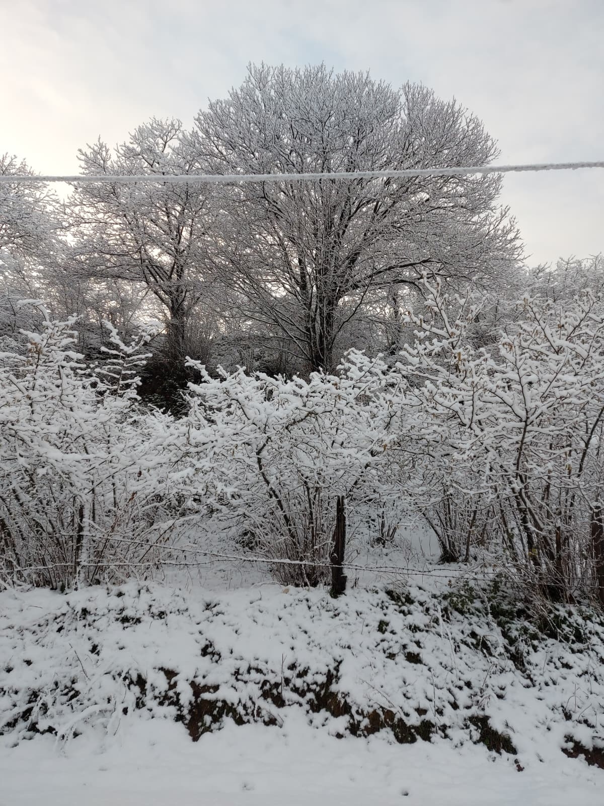 Sakarya'nın yüksek kesimlerinden kar fotoğrafları