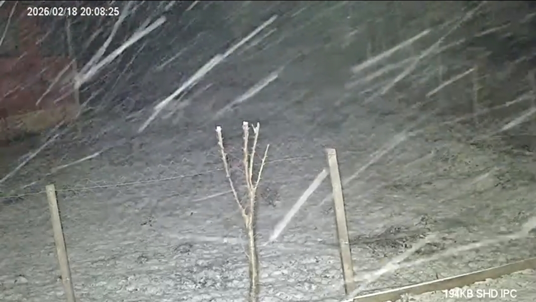 Sakarya'nın yüksek kesimlerine kar yağdı