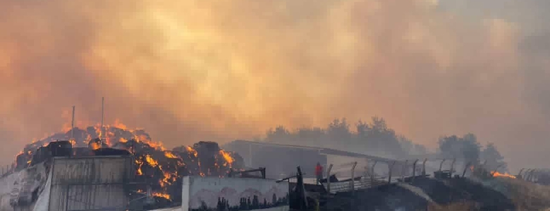 Sakarya tarihinin en büyük yangını üçüncü günde