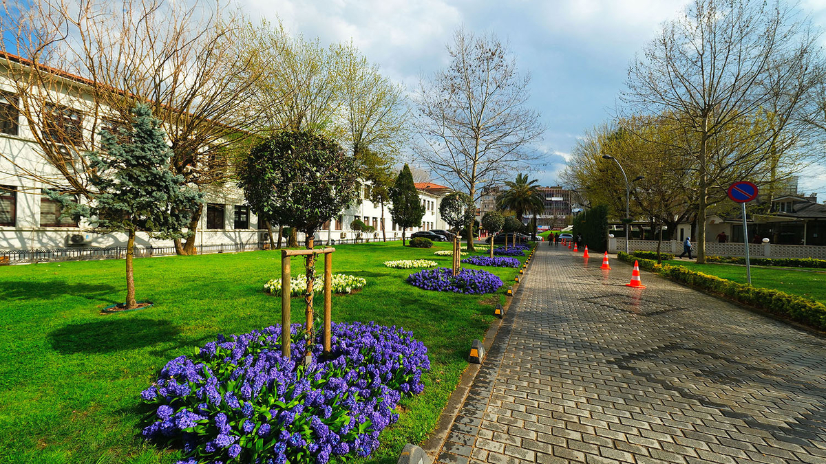 Sakarya’da baharın büyüleyici cümbüşü