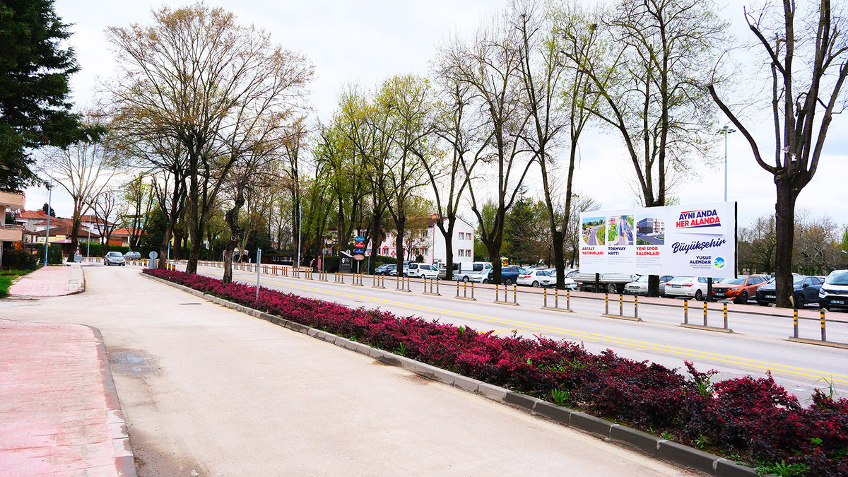 Sakarya’da baharın büyüleyici cümbüşü