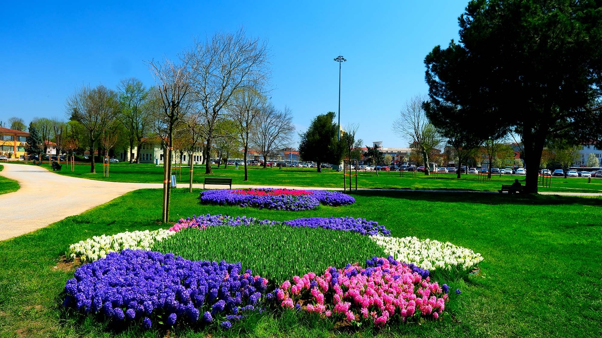 Sakarya’da baharın büyüleyici cümbüşü