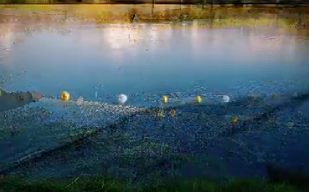 Sakarya’da kaçak av operasyonu