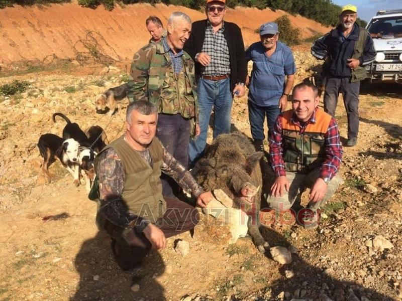 Sakaryalı avcı avladı