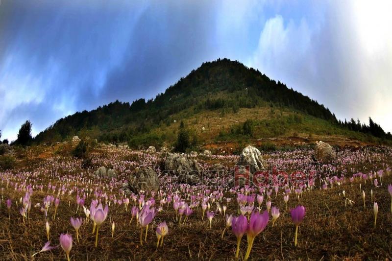 Akyazılı fotoğrafçının başarısı