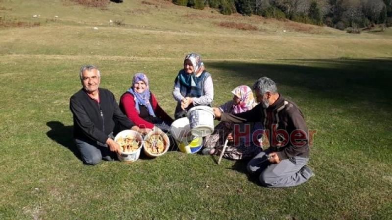 Sakaryalı vatandaşlar Akyazı yaylalarında mantar topladı