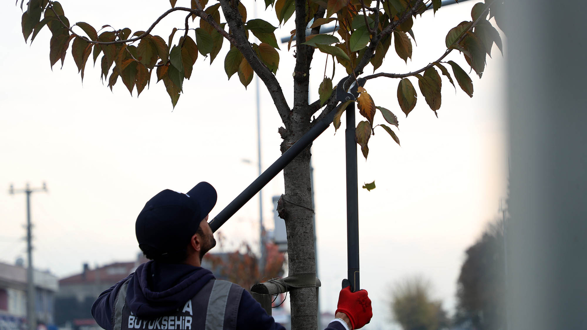 Sakarya’nın yeni yeşil ve yaşam alanları artıyor