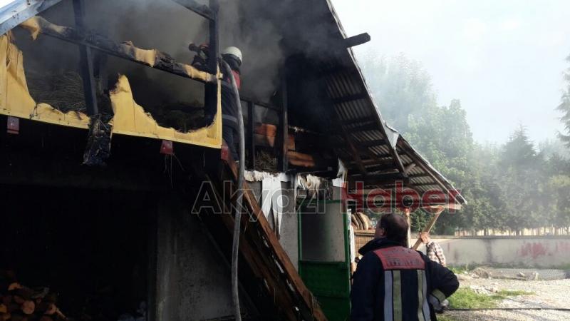 Samanlık Yangını Korkutttu