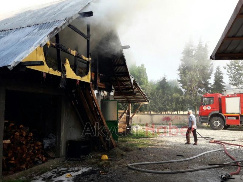 Samanlık Yangını Korkutttu