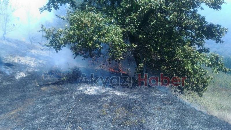 Samanpazarında korkutan yangın