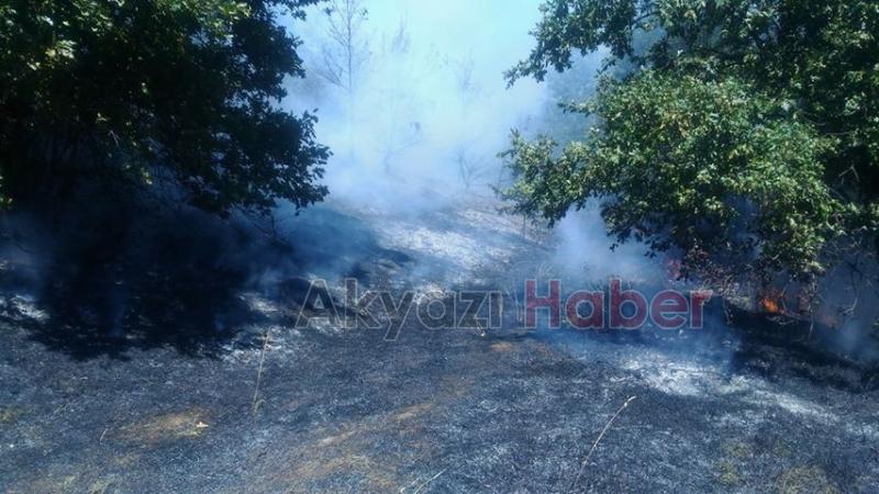 Samanpazarında korkutan yangın