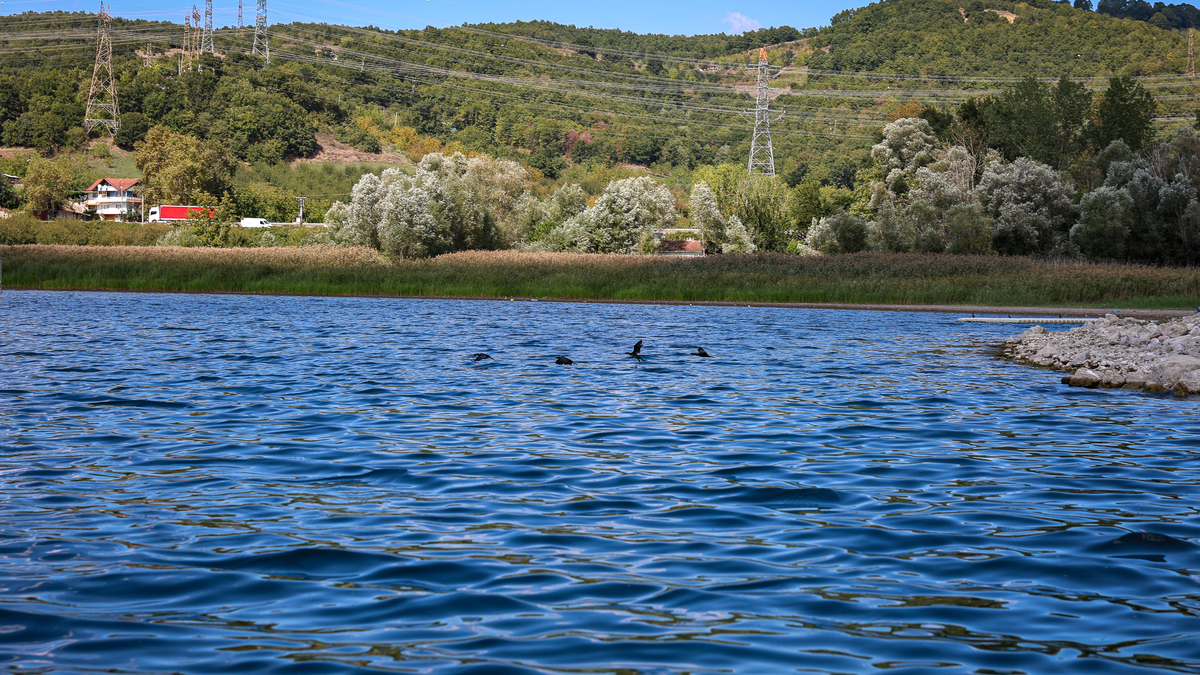 Sapanca Gölü için 1 milyar liralık yatırım