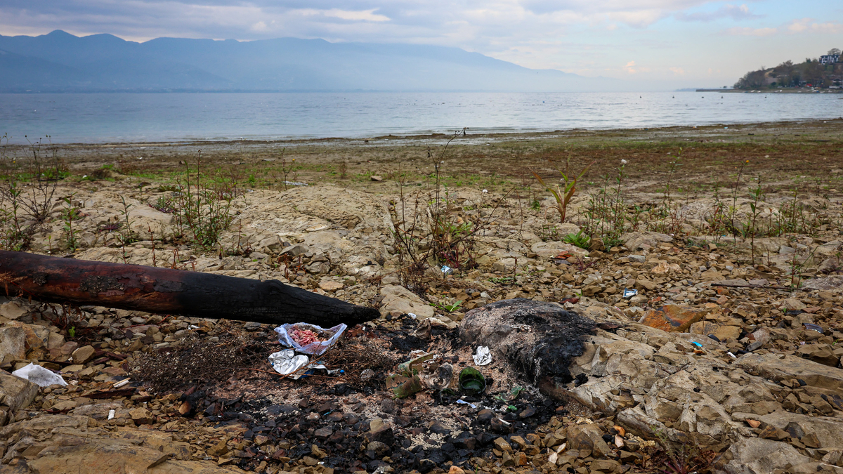 Sapanca Gölü kıyısında temizlik seferberliği