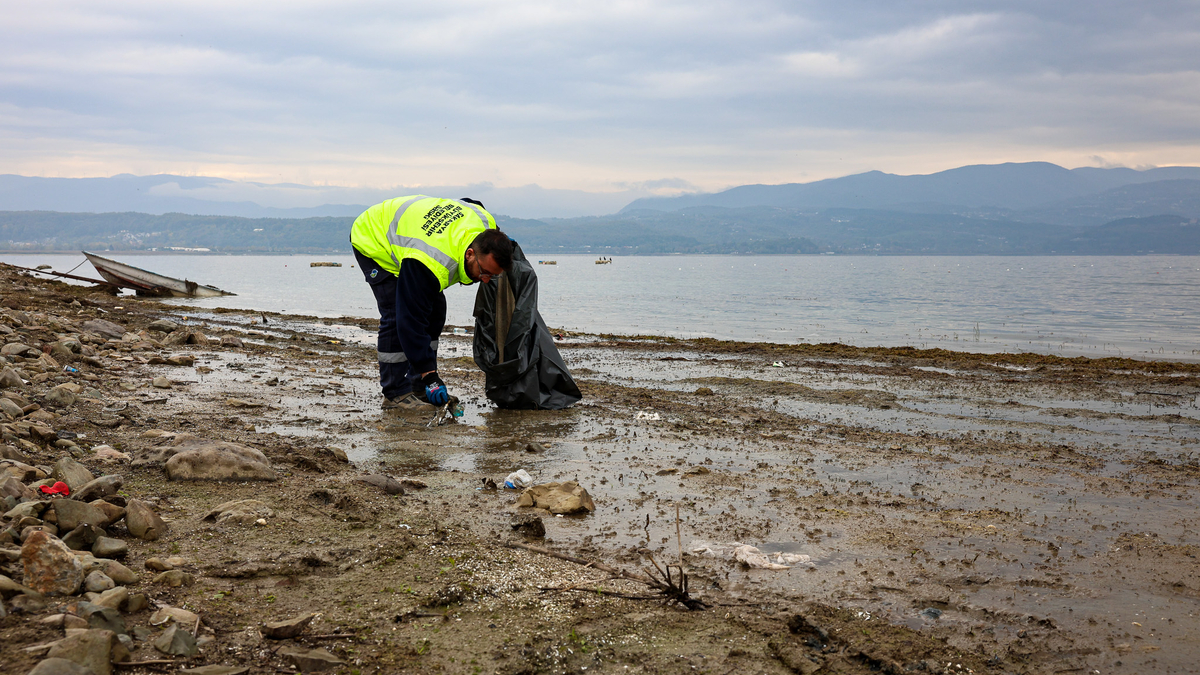Sapanca Gölü kıyısında temizlik seferberliği