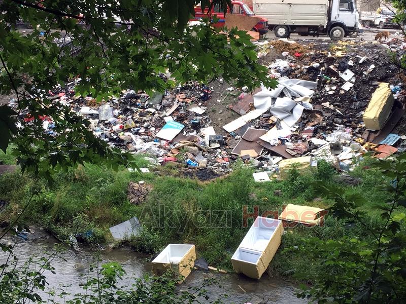 Sapanca Gölü'nde düşündüren manzara 