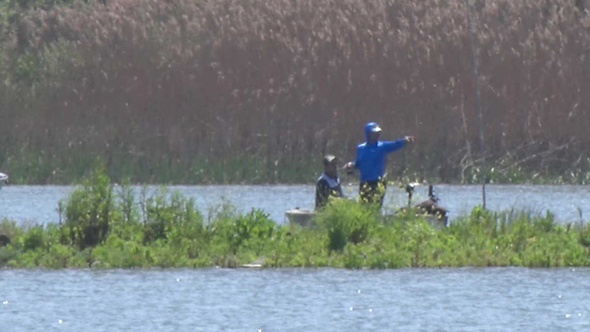 Sapanca Gölü'nde gizemli ada yeniden ortaya çıktı
