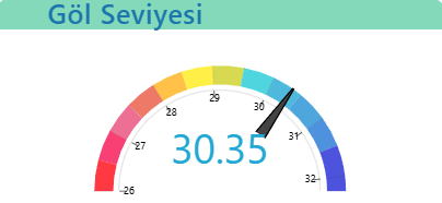 Sapanca Gölü'nde kritik eşik geçilmek üzere