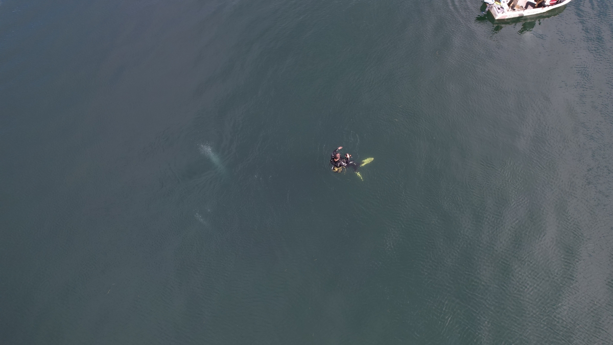 Sapanca Gölü'ndeki endişelendiren kabarcıkların nedeni ne? Açıklama geldi