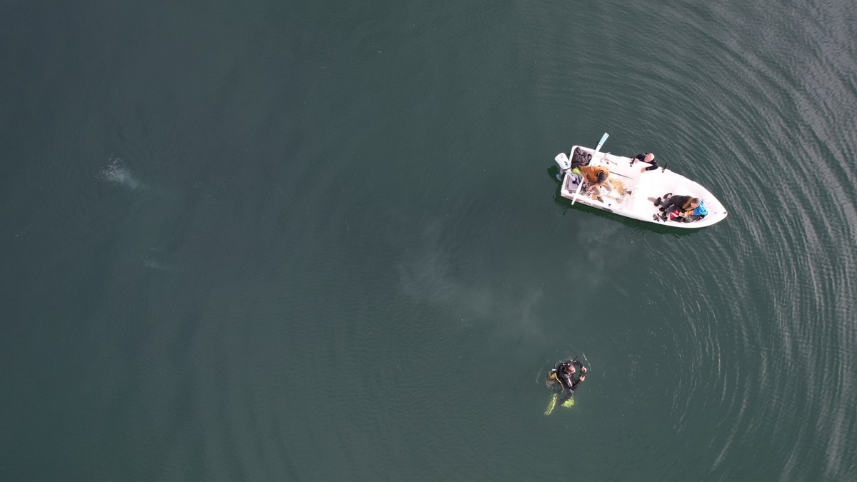 Sapanca Gölü'ndeki endişelendiren kabarcıkların nedeni ne? Açıklama geldi