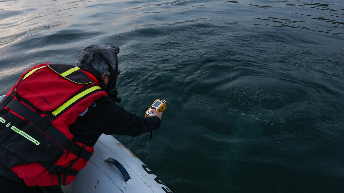 Sapanca Gölü'ndeki kabarcıklar endişe oluşturmuştu; SASKİ açıklama yaptı