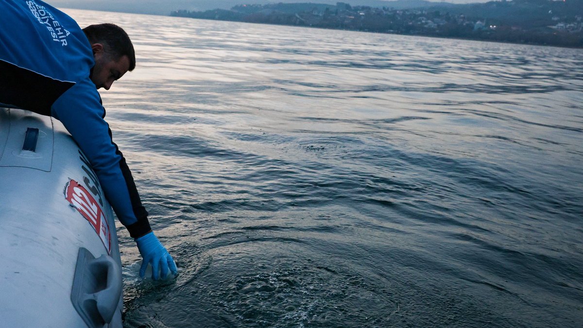 Sapanca Gölü'ndeki kabarcıklar endişe oluşturmuştu; SASKİ açıklama yaptı