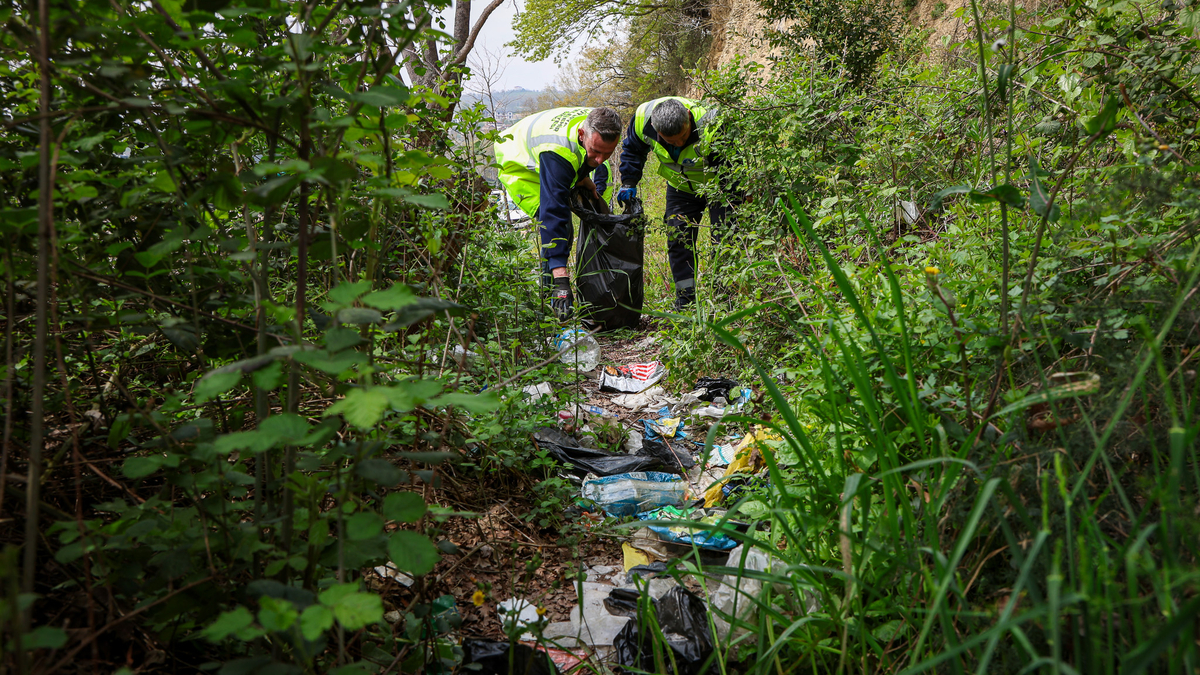Sapanca Gölü temizleniyor