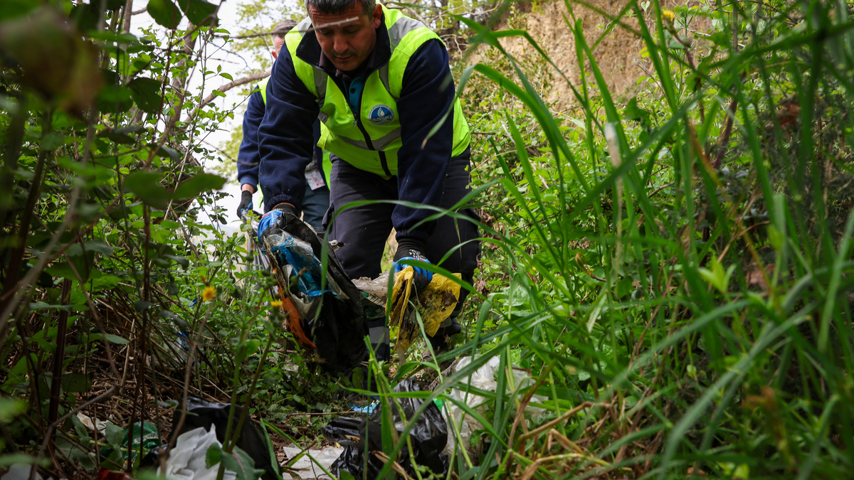 Sapanca Gölü temizleniyor