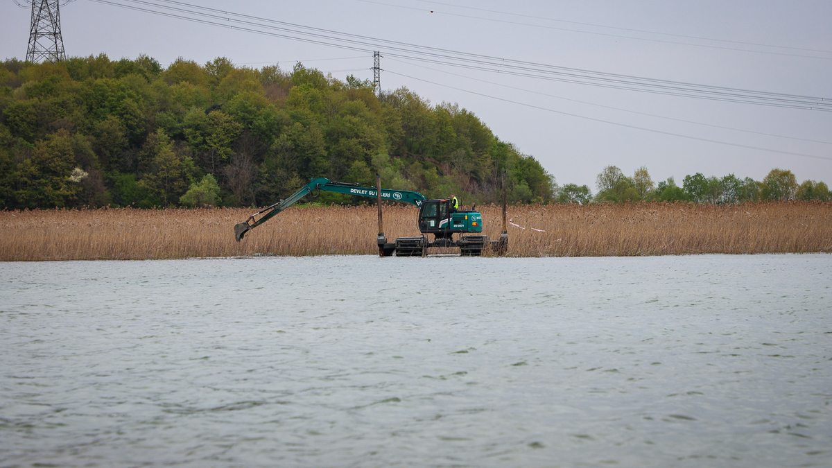 Sapanca Gölü temizleniyor